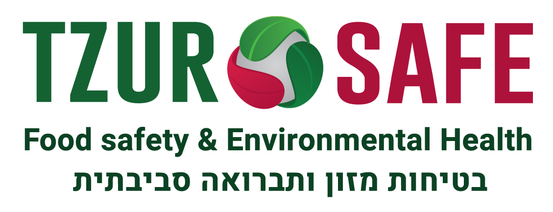 יואב צור